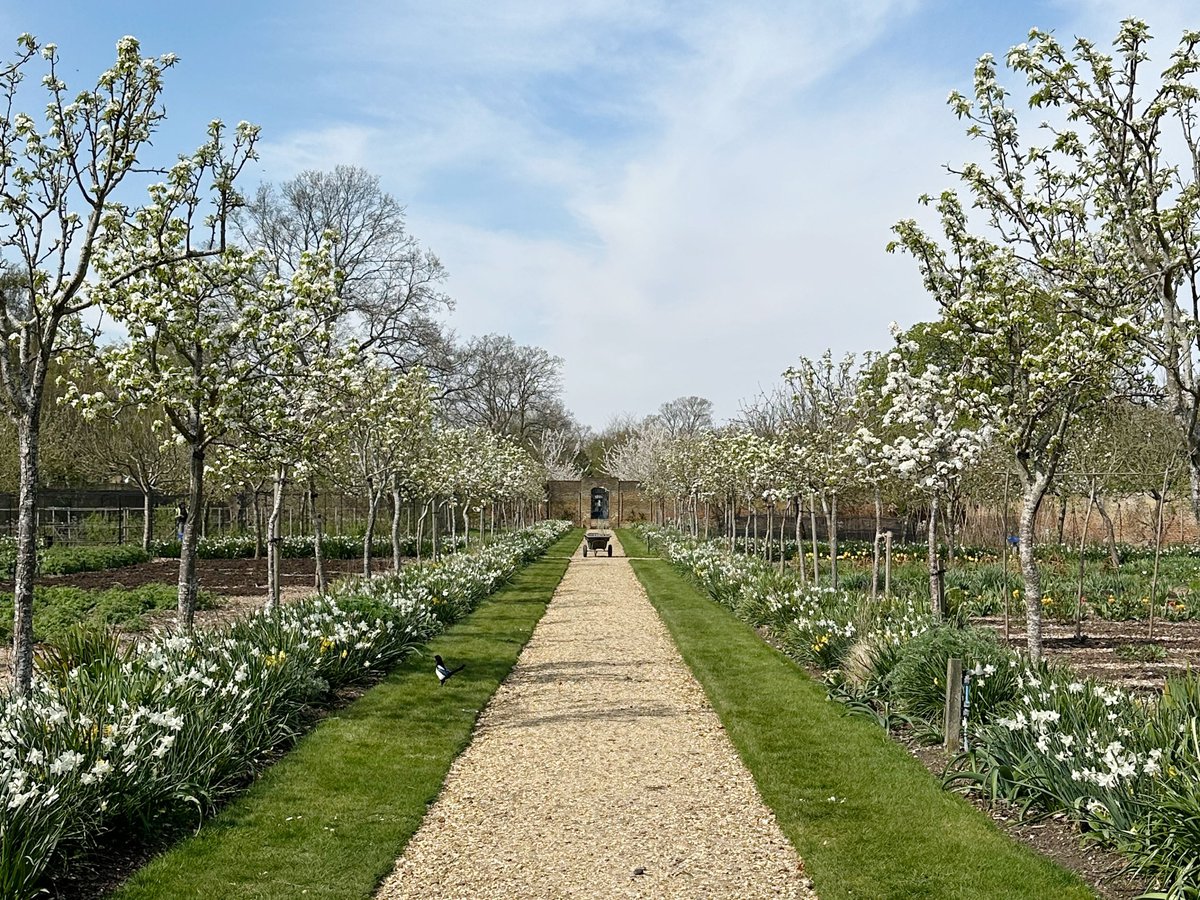 Matthew Lloyd Architects Cedar Yards 1A Yards Garden 01