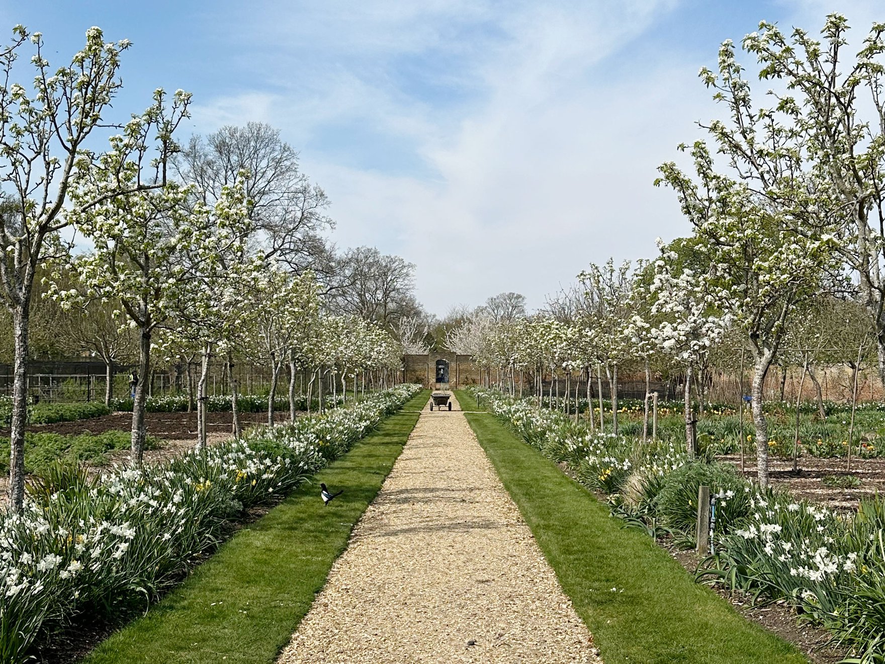 Matthew Lloyd Architects Cedar Yards 1A Yards Garden 01
